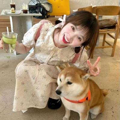我爱你也爱他