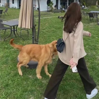 打板